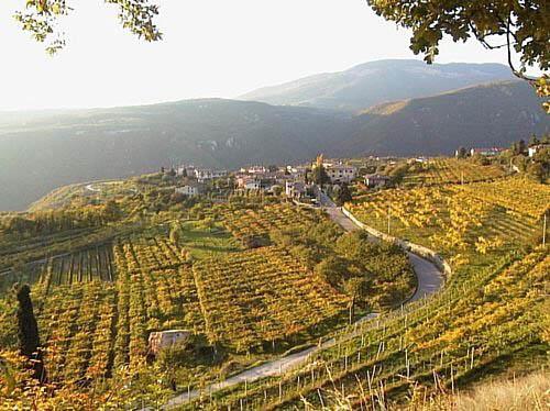 VALPOLICELLA