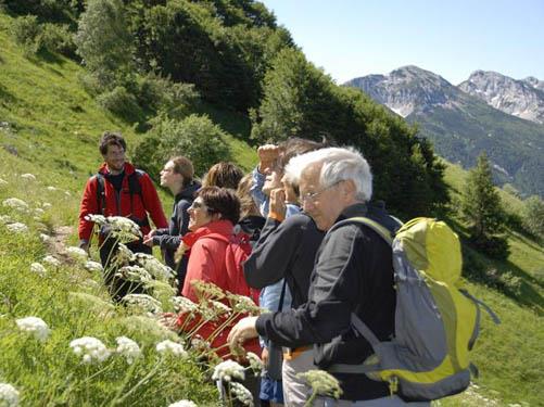 IL MONTE BALDO